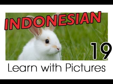 Learn Indonesian Vocabulary with Pictures - Farm Animals