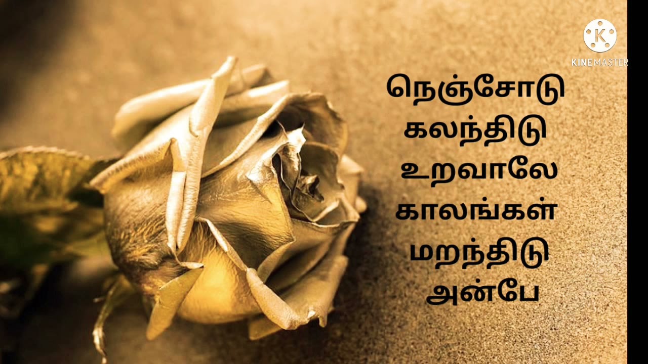 Nenjodu Kalanthidu Song Lyrics – Kaadhal Konden