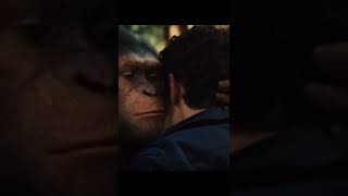 Download lagu golekno Rondo enom?? mp3 Download lagu golekno Rondo enom?? mp3