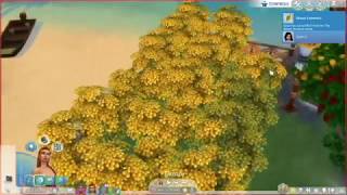 How to Get Rich Quick In Sims 4 Grow Multiple Money Trees Without Buying More Than One NO CHEATS