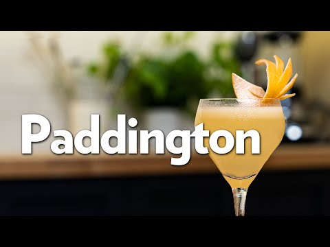 Paddington – The Educated Barfly