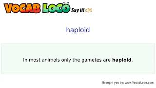 Video thumbnail for haploid