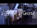 Life In Discord Fading Into Obscurity Official Music Video