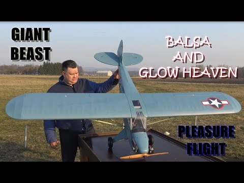 GIANT 2.4m H-King NE-1 Navy Cub RC plane with ASP FT 160 twin glow engine Pleasure flight