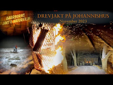 Drevjakt på Johannishus November 2023