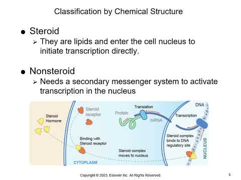 Gould patho Chapter 16  Endocrine System Disorders revised 1