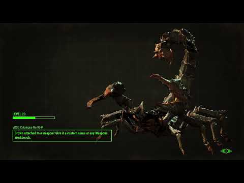 Fallout 4 with fireoflife