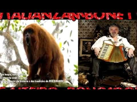 os filhos do rio grande gaiteiro roncador