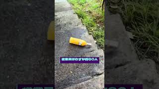 #株式 #投資# 日本株 #資産運用 #投資初心者 #株式投資 #お金の勉強 #長期投資 #配当金 #老後資金
