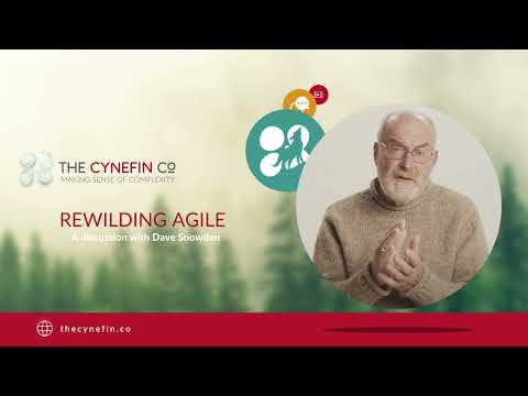 Rewilding Agile - Dave Snowden