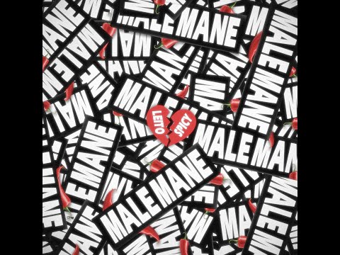 Leito - Male Mane (Official Audio)