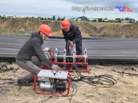 Выпуск программы «День» от 1 июля 2016г.