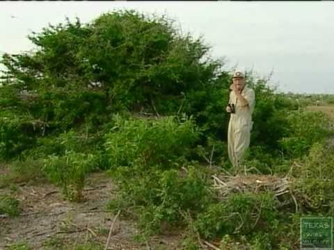 download lagu mp3 mp4 Martin Avenarius, download lagu Martin Avenarius gratis, unduh video klip Martin Avenarius