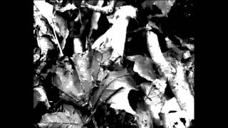 Video Ritual of Blending