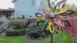 removing the spider webs