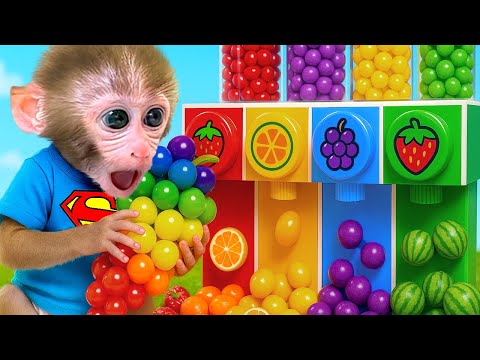 Le singe Bon Bon et le chaton vont dans la forêt magique pour préparer des friandises arc-en-ciel