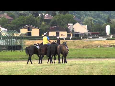 Závodiště Velká Chuchle - Argentine Diplomats Polo Cup 2014