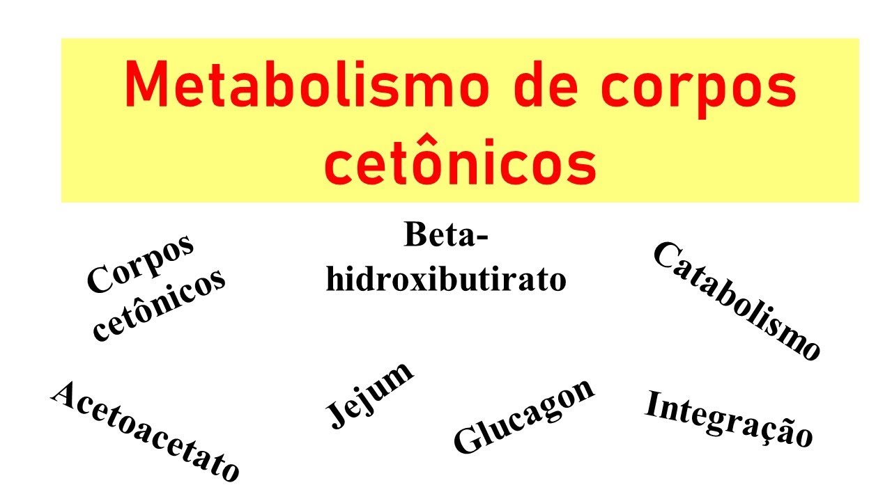 Metabolismo de corpos cetônicos: síntese (cetogênese), degradação, regulação e integração