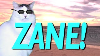 HAPPY BIRTHDAY ZANE! - EPIC CAT Happy Birthday Song gameplay video by MRHS, 0:53 duration