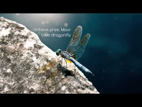 illitheas pres. Mavi - blue dragonfly (Original mix)
