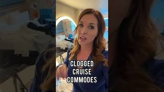 Why Cruise Ship Toilets Are SO Sensitive