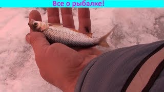 Ловля плотвы на червя зимой