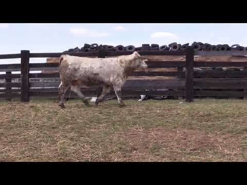 2018 Q4Q - Lot 78 - KNS Stryker 06E