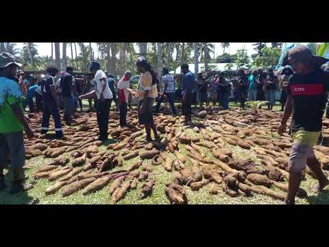 Delir Remix Vatu - Dokowia x Vavine Erata_Svnr 2013