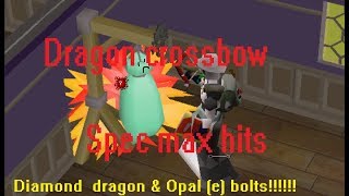 Testing the new bolt types with Dragon crossbow/spec