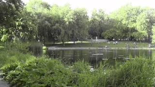 Musik-Video-Miniaturansicht zu Parc Lafontaine Songtext von Lucille Dumont