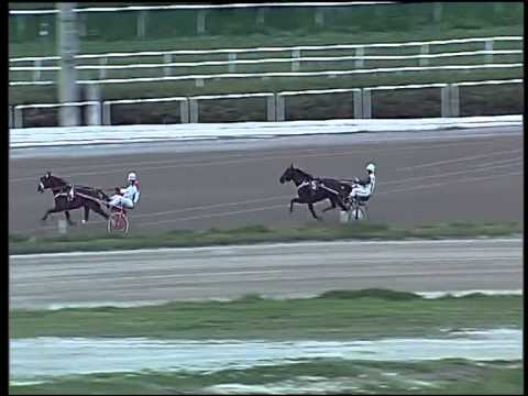 Trotto 19/04/2015 - corsa  pony