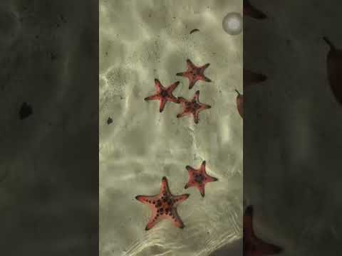 Just coastin’ through life 🌊 #chetandahiya #beach #phiphiislands #beachday #boatrides #island