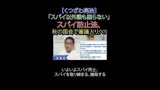 「スパイ以外誰も困らない」スパイ防止法　秋の国会で審議入りへ！#スパイ防止法 #外国干渉罪 #自民党 #スパイ監視機関 #通信傍受 #日本改革党 #減税 #移民はもういらん #日本保守党