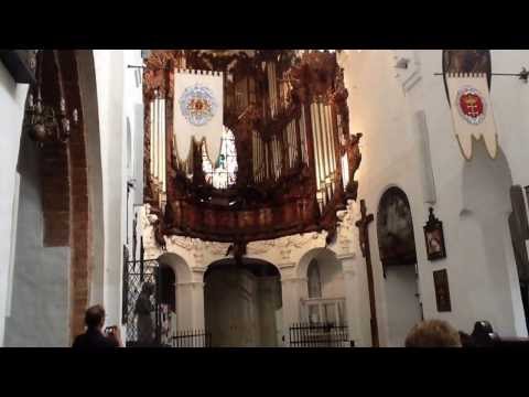 Orgel von Oliva