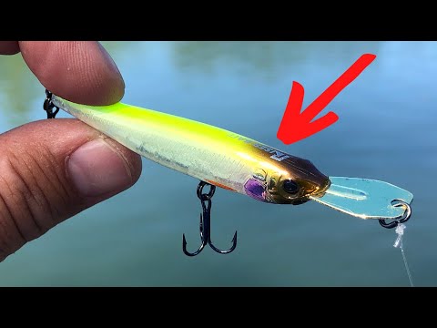I DIDN'T Want To Talk About This Japanese LURE (RISER Bait)