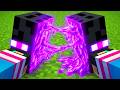 MOBの中身が見れるマインクラフト【 マイクラ / マインクラフト 】