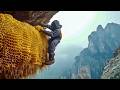 How Men Risk Death For Hallucinogenic Mad Honey By Himalayanhoney