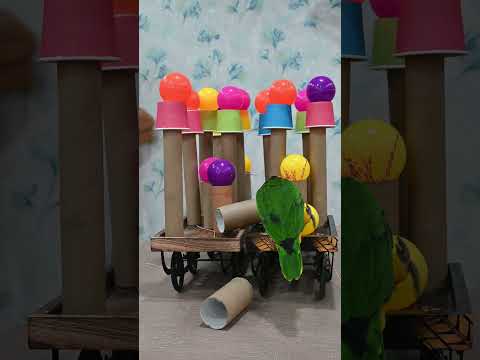 Dexter Destroys🦜💥#dexter #caique #destroy #funny #birds #birdvideos #funnyanimals #cardboard #shorts