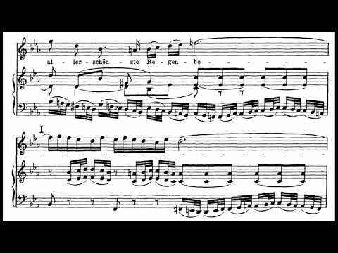 Bach: St. John passion - 20. Erwäge wie sein blutgefärbter Rücken - Jacobs