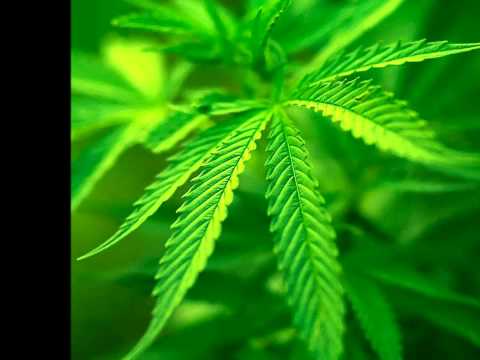 cuando era pobre-danny boom y su grupo bragado 2012