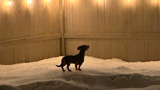 Footprints in the Snow - Short Film