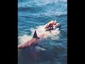 This happened on the set of Jaws #facts #moviefacts #allfacts Sharks