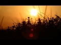 Spencer & Antfood - Trek (Fly Emirates ...