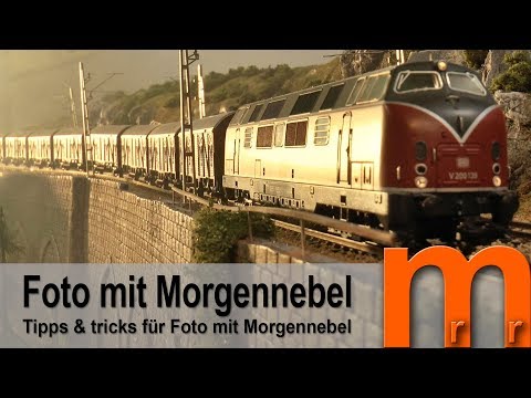Fotos mit Morgennebel