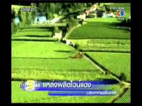 ความแรงของเวย์ อยู่ในสถานะที่สงบของสมาชิกมีขนาดเล็กมาก
