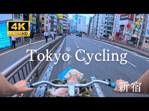 【4K】Tokyo Bike Tour | from Shinjuku to Yotsuya | with Dog |