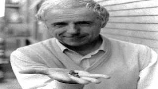 Franco D'Andrea - Satin Doll (Duke Ellington)