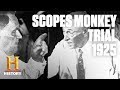 Scopes Monkey – Rare Footage of the 
