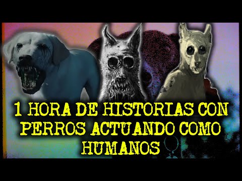 1 HORA DE HISTORIAS CON PERROS ACTUANDO COMO HUMANOS