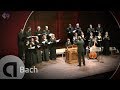 J.S. Bach: Motet BWV 229 'Komm, Jesu, komm ...